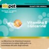 81HOtZv1LPL._AC_SL1500_.jpg Rispet Salviette Guanti Igienizzanti per Pulizia Cani Gatti e Animali Domestici, Rimuovi Pelo Pulisci e Deodora, Guanti Igienici Usa e Getta, 8 Guanti