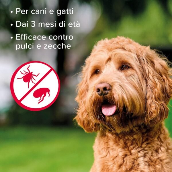 Beaphar APE Shampoo Antiparassitario, Trattamento Specifico per Zecche e Pulci per Cani e Gatti, Shampoo Antipulci alla Tetrametrina, 200 ml