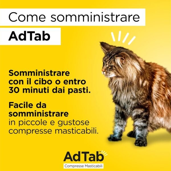 Compresse masticabili AdTab per gatti 2-8 kg - 3 compresse