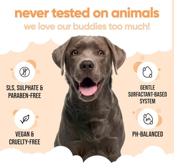 Buddycare Shampoo contro pulci e zecche per cani, elimina gli acari, detergente per melaleuca e shampoo contro pulci all'eucalipto (500 ml)