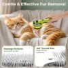 pecute Spazzola a vapore per gatti, Spazzola a vapore per cani, Funzione nebbia densa e nebbia fine, Senza calore, Epilazione con un clic, Peli lunghi e corti, Serbatoio dell'acqua visibile, Verde