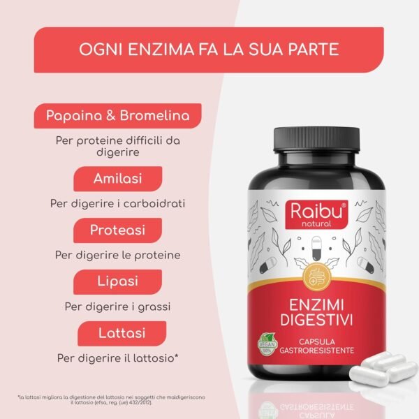 81Pj7Xp9nuL._AC_SL1500_.jpg Enzimi Digestivi - Alta Concentrazione di Enzimi: Amilasi, Proteasi, Lattasi, Lipasi, Bromelina, Papaina - Capsule Gastroresistenti - Con Probiotico - 90 Capsule Vegane, Senza Additivi