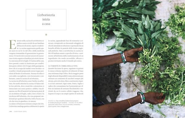 Erbario. Guida completa alle piante officinali e ai loro benefici