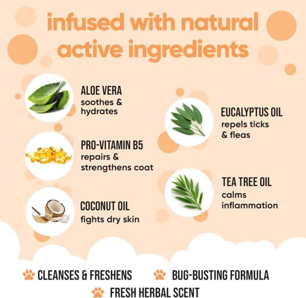 Buddycare Shampoo contro pulci e zecche per cani, elimina gli acari, detergente per melaleuca e shampoo contro pulci all'eucalipto (500 ml)