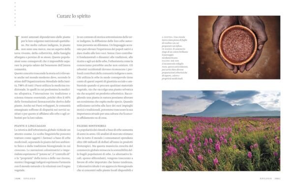 Erbario. Guida completa alle piante officinali e ai loro benefici