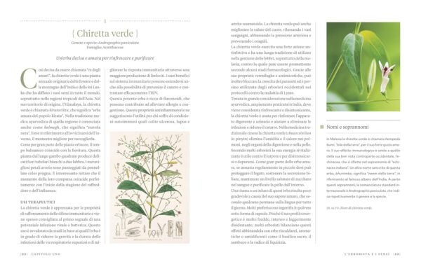 Erbario. Guida completa alle piante officinali e ai loro benefici