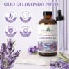 81XYjLuHOzL._AC_SL1500_.jpg EVOKE OCCU Olio essenziale di lavanda 118ml Olio essenziale puro per diffusore, cura della pelle, relax, sonno, capelli, massaggio