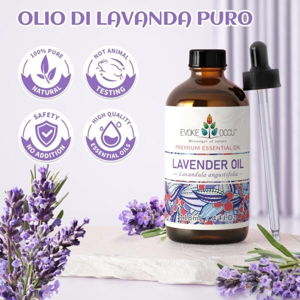81XYjLuHOzL._AC_SL1500_.jpg EVOKE OCCU Olio essenziale di lavanda 118ml Olio essenziale puro per diffusore, cura della pelle, relax, sonno, capelli, massaggio