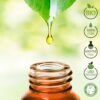 Olio Essenziale Bio Eucalipto Puro al 100% 10 ml – Uso Interno Diffusori Alimentari Terapeutici Cosmetici Aromaterapeutici Ambientali – Laborbio