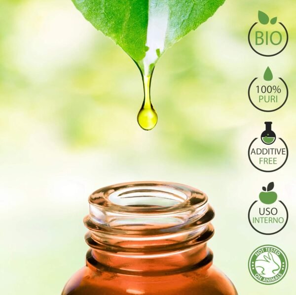 Olio Essenziale Bio Eucalipto Puro al 100% 10 ml – Uso Interno Diffusori Alimentari Terapeutici Cosmetici Aromaterapeutici Ambientali – Laborbio