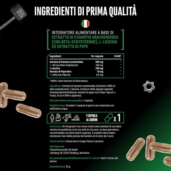 Complesso Ecdisterone - Alto dosaggio con 760 mg per capsula - Premium: 90% Beta-ecdisterone + L-Leucina + Piperina - 60 Capsule - Vegan