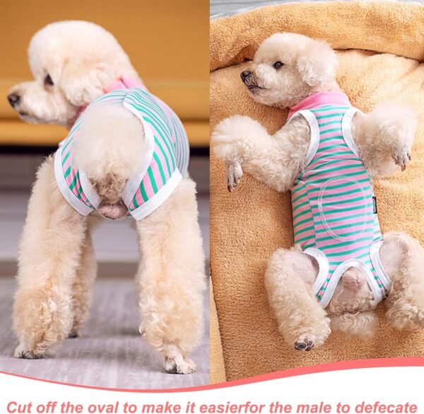 81kWbS1p0FL._AC_SL1500_.jpg Wisebom Tuta da recupero per cani, Tuta da recupero per cani dopo l'intervento chirurgico Sterilizzazione Cani Chirurgia Cura chirurgica Body post-operatorio Corpo per cani (S)