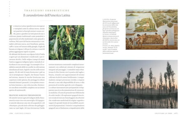 Erbario. Guida completa alle piante officinali e ai loro benefici