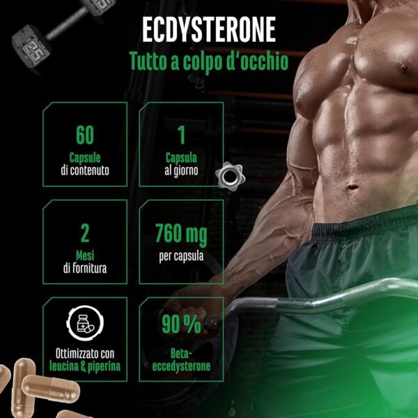 Complesso Ecdisterone - Alto dosaggio con 760 mg per capsula - Premium: 90% Beta-ecdisterone + L-Leucina + Piperina - 60 Capsule - Vegan