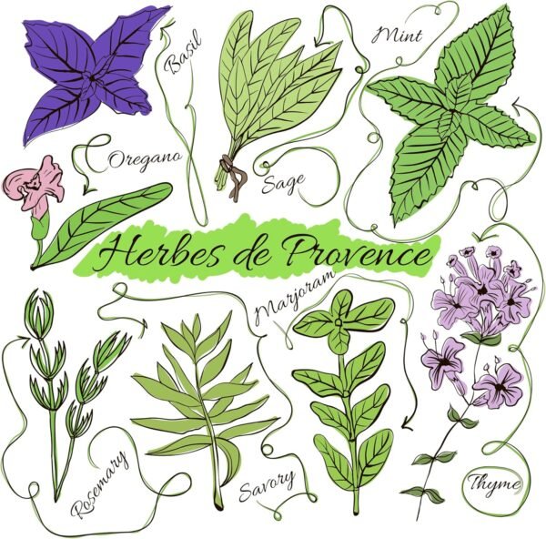 NATURA D'ORIENTE - Erbe della Provenza 150g | Erbe e spezie di qualità al 100% |