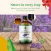 81o2u2qkTwL._AC_SL1500_.jpg SVA ORGANICS Olio essenziale di lavanda naturale al 100% - Olio aromatico di grado terapeutico, fluido da 4 once con contagocce | Oli naturali per aromaterapia