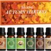 SALKING Oli Essenziali Autunnali per Diffusori 6x10ml, Set di Oli Essenziali Puri per Aromaterapia e Massaggi - Vaniglia, Torta di Zucca, Snickerdoodle, Sidro di Mele, Pino Silvestre, Mais Dolce