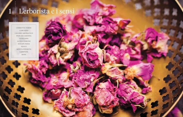 Erbario. Guida completa alle piante officinali e ai loro benefici