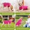 HEYWEAN Body post-operatorio per cani Body post-operatorio per cani Body chirurgico femminile Pigiama per cani per cani Pigiama per cani Sterilizzazione per cani T-shirt per cani