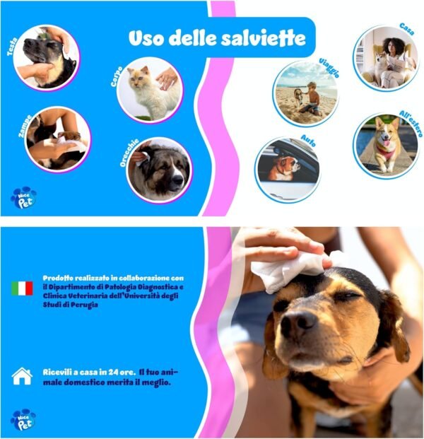 81yijxTqaiL._AC_SL1500_.jpg Nice Pet Salviette Detergenti Igienizzanti Multiuso per Cani e Gatti, Formulazione al Profumo di Muschio con Clorexidina, Confezione da 100 Salviettine Umidificate