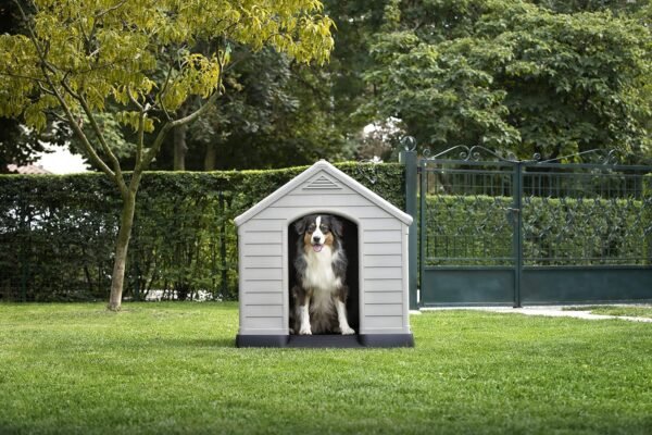 Cuccia per cani in resina Curver, Beige, ‎99 x 95 x 99 cm, 12,7 kg