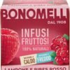 Bonomelli - Infusi Fruttati, Lampone e Ribes Rosso, Confezione da 12 Filtri, Gusto Rinfrescante e Leggermente Acido, Infuso Caldo e Freddo, Ingredienti 100% Naturali (24g)