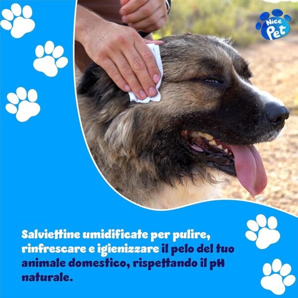91fcBGqFZPL._AC_SL1500_.jpg Nice Pet Salviette Detergenti Igienizzanti Multiuso per Cani e Gatti, Formulazione al Profumo di Muschio con Clorexidina, Confezione da 100 Salviettine Umidificate